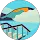 Robert Morgan profile picture